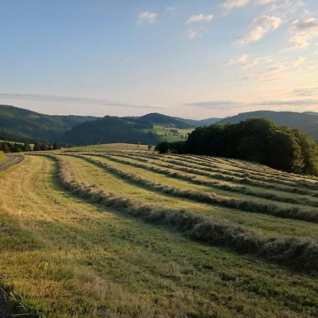 Hausamaarbach Willingen  Exterior photo