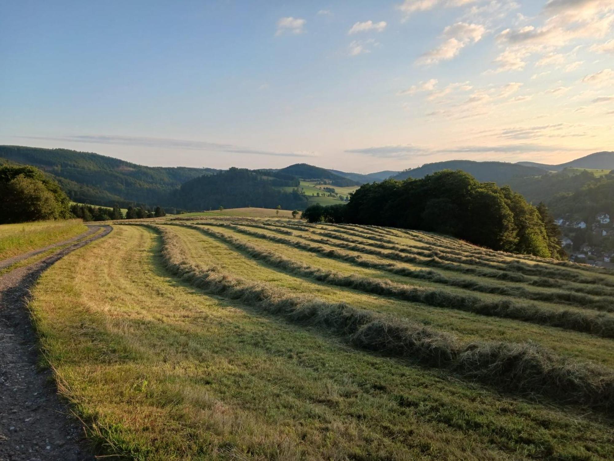 Hausamaarbach Willingen  Exterior photo